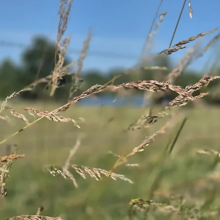 Apartment Landoase Buchhorst *