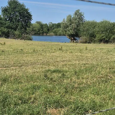 Landoase Buchhorst * Balge