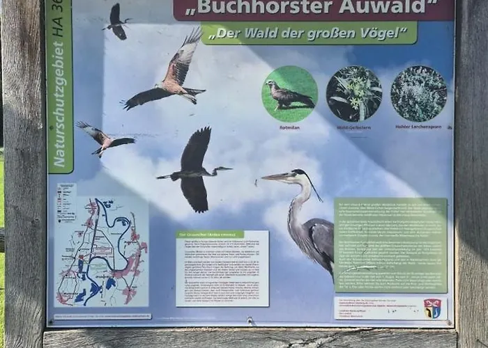 Landoase Buchhorst *