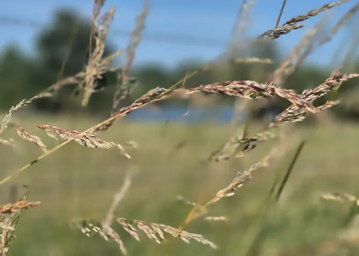 شقة Landoase Buchhorst *